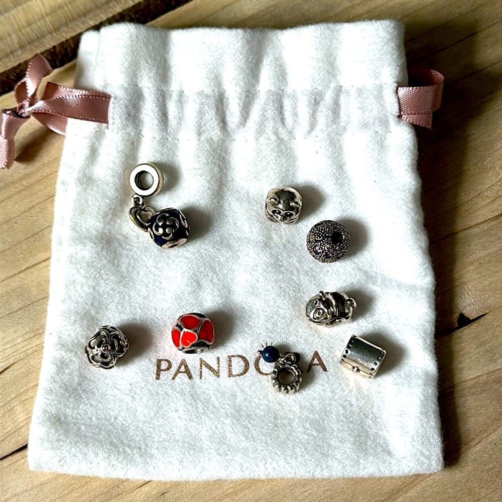 8 Pandora Charms - Picture 1 of 2